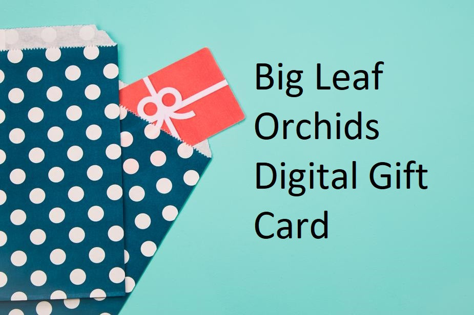 Big Leaf Orchids Digital Gift Cards